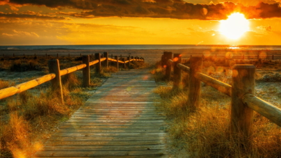 Most Famous Photographers