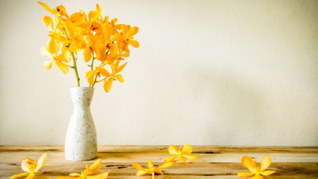 Famous Still Life Photographers