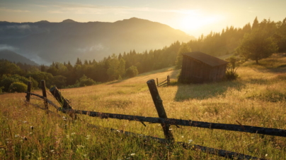 Famous Landscape Photographers