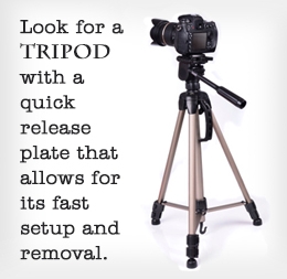 A Guide to Pick the Best Tripod for Your Camera