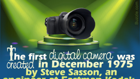 Analyzing the Advantages and Disadvantages of Digital Cameras