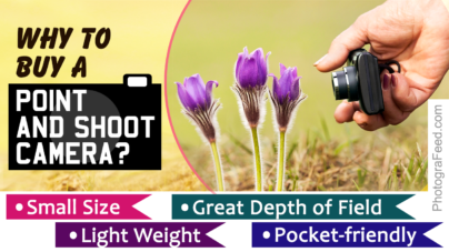 Incredibly Great Point and Shoot Digital Cameras for 2018