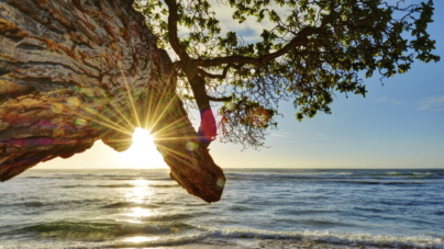 A Gallery of Beautiful Nature Photographs You Will Surely Love