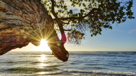 A Gallery of Beautiful Nature Photographs You Will Surely Love