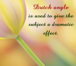 What is Dutch Angle Shot in Photography?