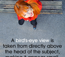 What is the Bird’s-eye View in Photography?